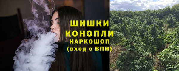 PSILOCYBIN Россошь