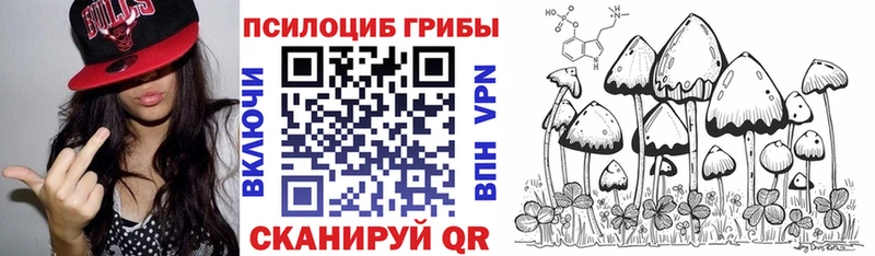 Псилоцибиновые грибы MAGIC MUSHROOMS Кедровый